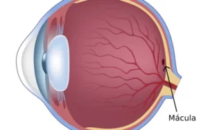 Vitamin hỗ trợ sáng mắt và giảm nguy cơ bị thoái hóa điểm vàng
